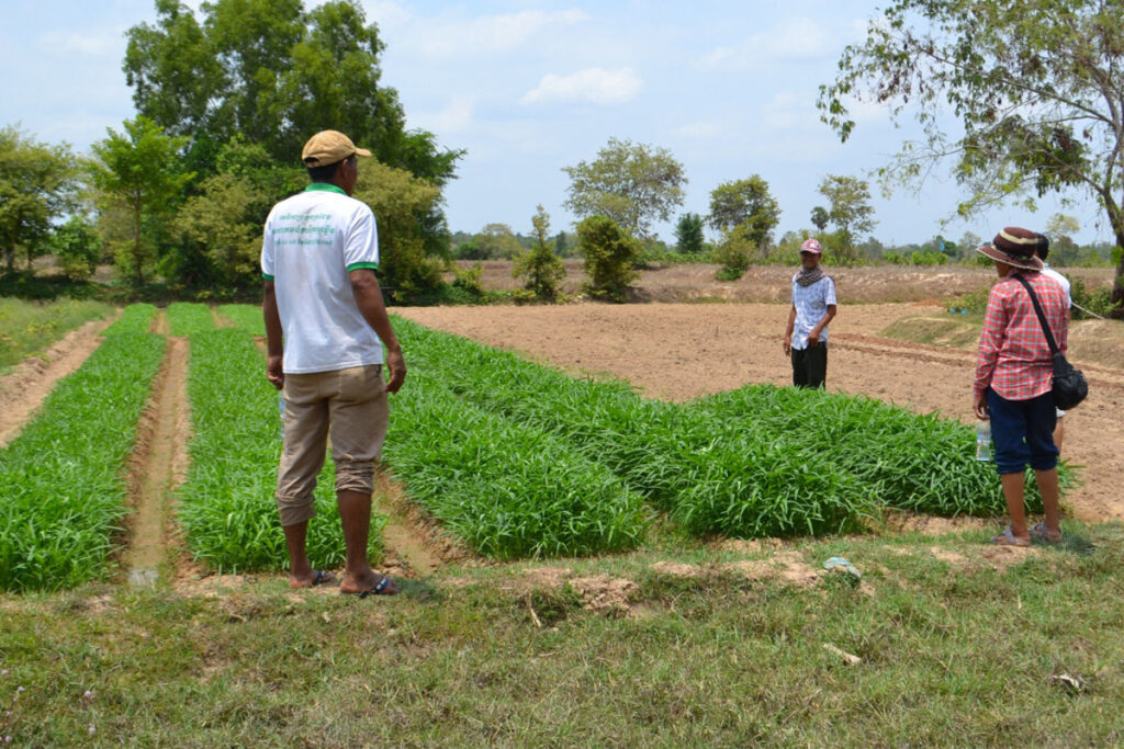 US Project Closure in Pakistan Deals Blow to Agricultural Cooperation