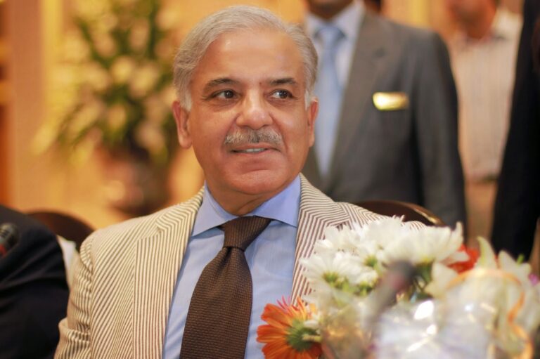 Shehbaz Sharif Thanks UAE for Its Strong Support to Pakistan